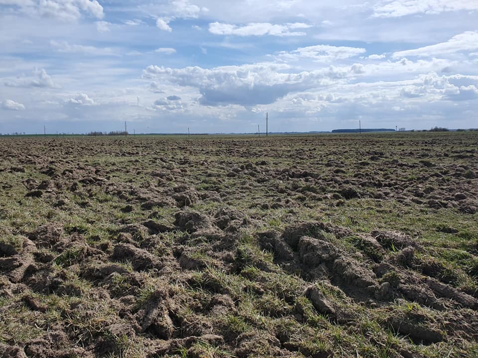 Распашка 2020 1.jpg