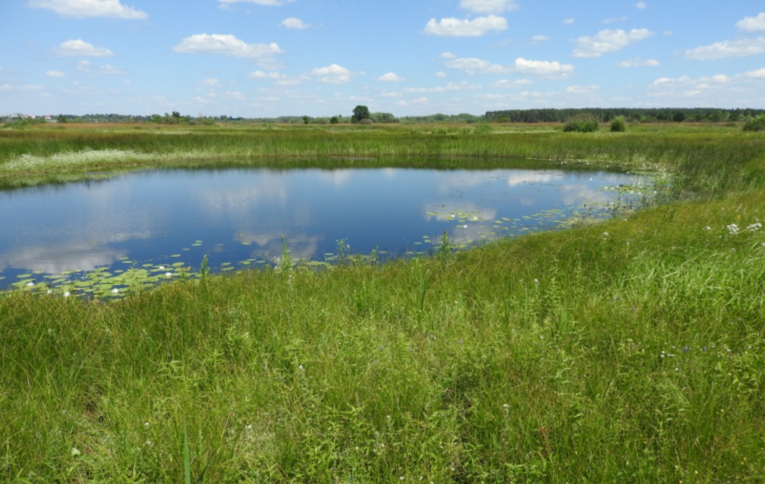 фото пойма.jpg