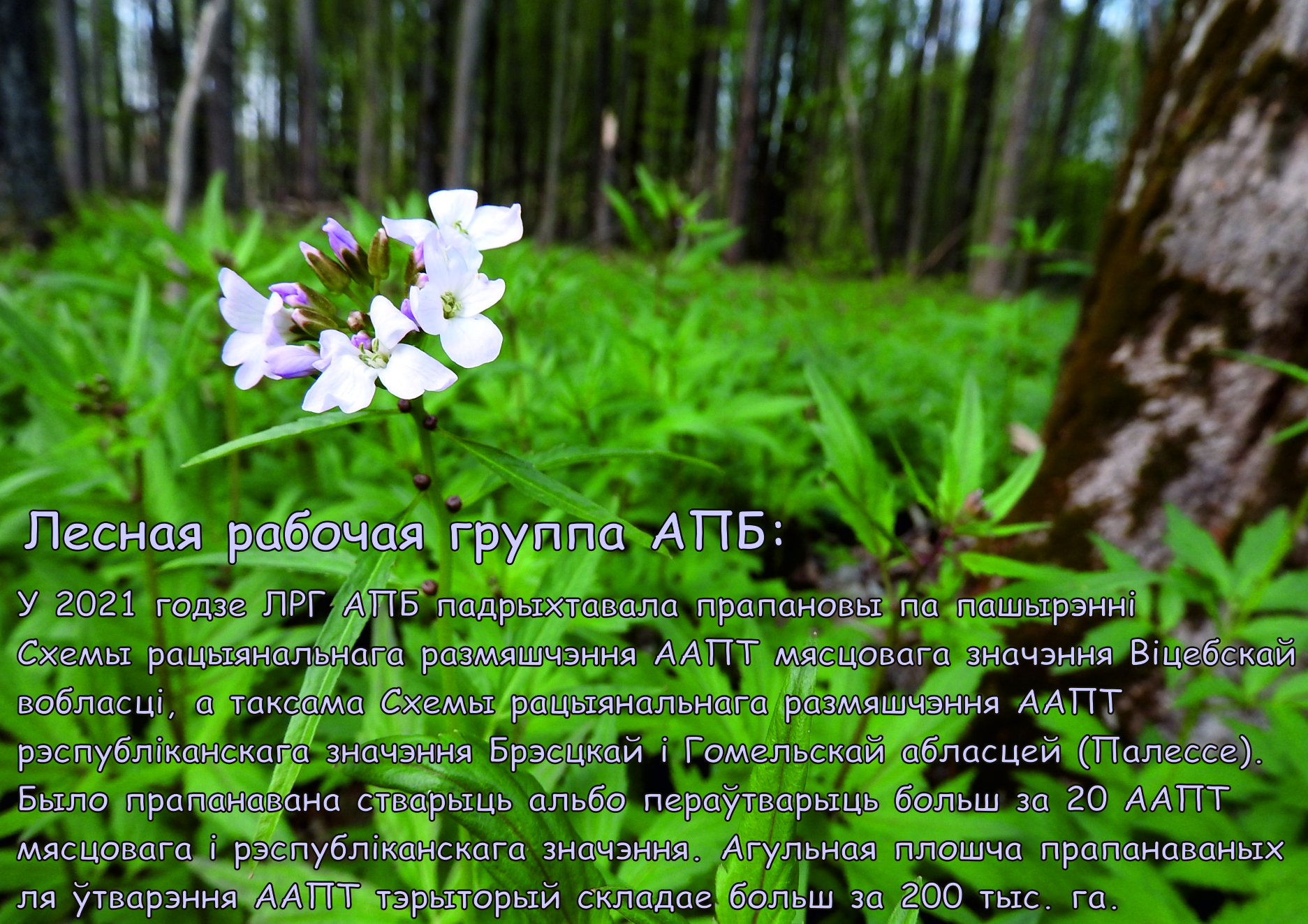 Расширение ООПТ.jpg