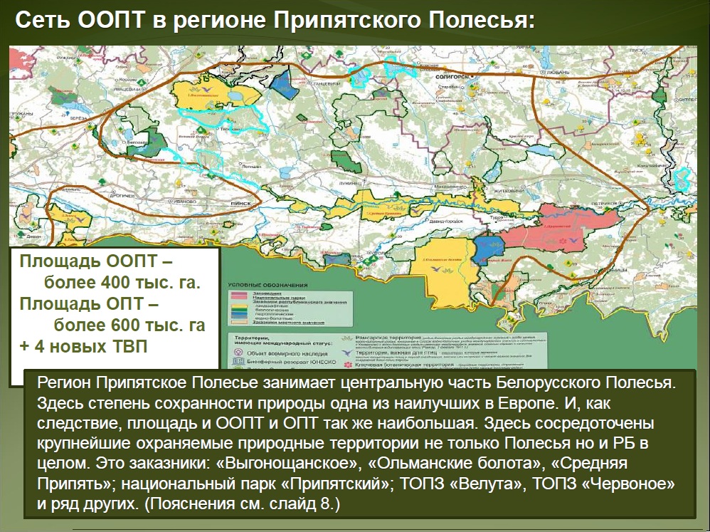 Припятский национальный парк карта