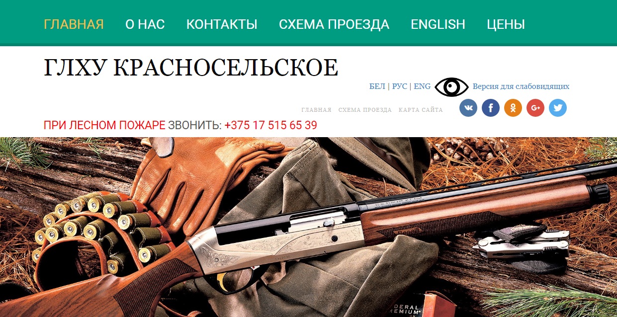 Сайт Красносельского.jpg