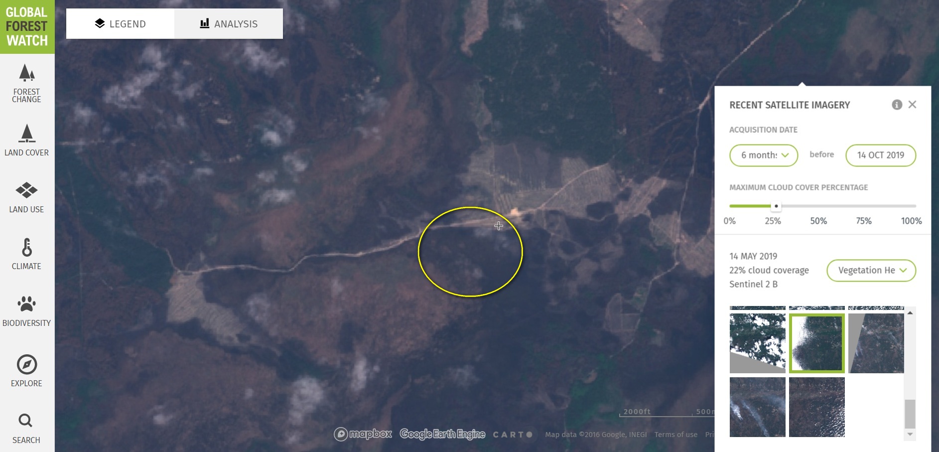 14.05.2019 другое фото участок после пожара.jpg