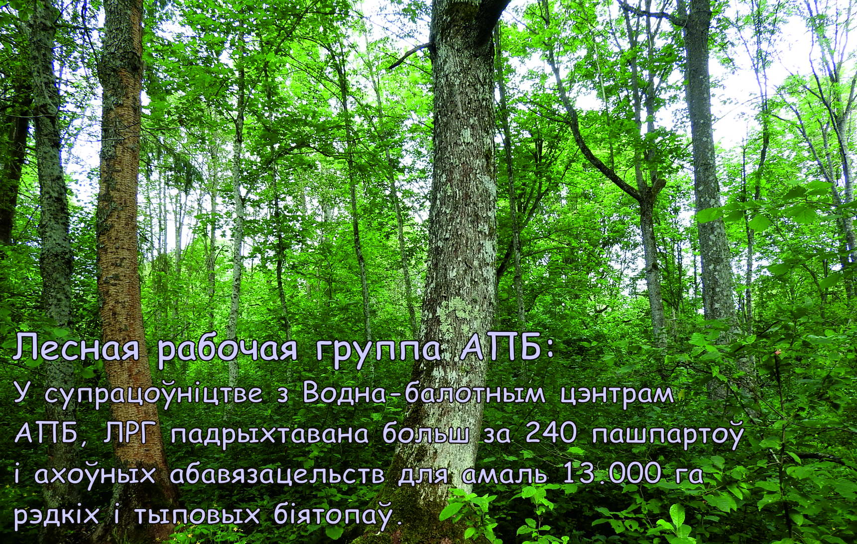 Биотопы паспорта.jpg