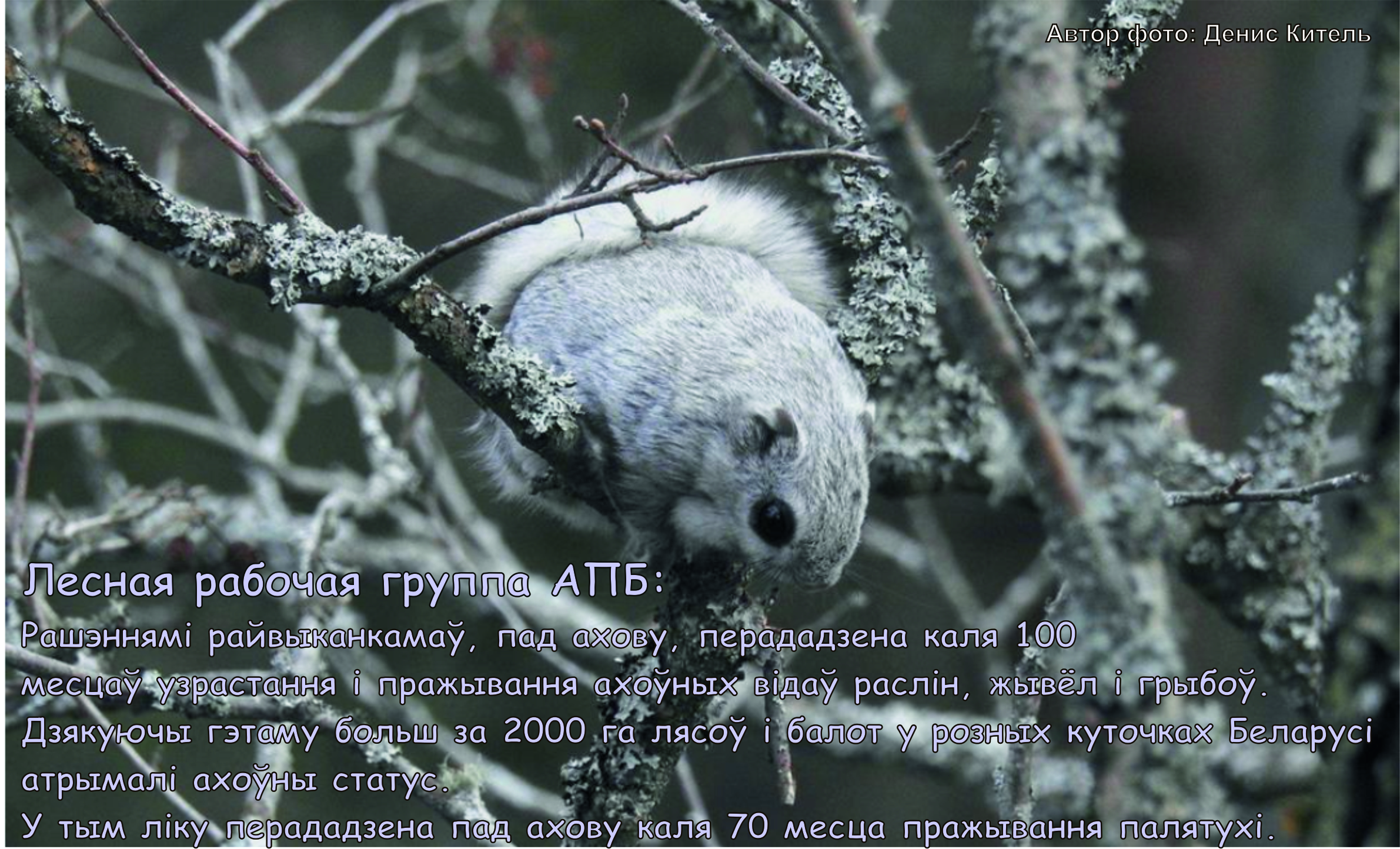 Летяга передано под охрану.jpg